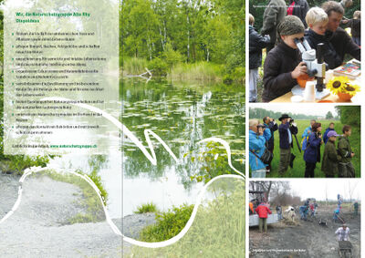 Informationsplakat der Naturschutzgruppe Alta Rhy in Diepoldsau (9444, Kanton St Gallen) mit Teichlandschaft, Naturbeobachtung und Pflegeeinsätzen.