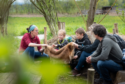 Naturstation Silberweide