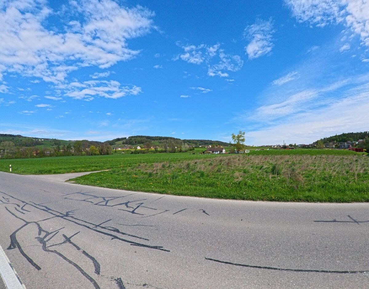  In Neftenbach (8413, Kanton Zürich) erstreckt sich eine weite, grüne Wiese neben einer asphaltieren Strasse, die im Vordergrund einige Risse aufweist.
