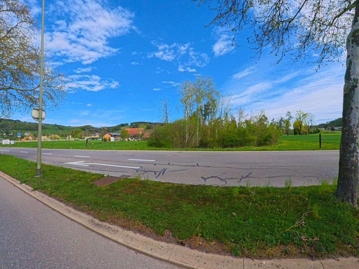 In Neftenbach, PLZ 8413 im Kanton Zürich, verläuft eine Landstrasse entlang von Feldern und einem kleinen Waldstück, mit Blick auf verstreute Bauernhäuser und grüne Hügel.