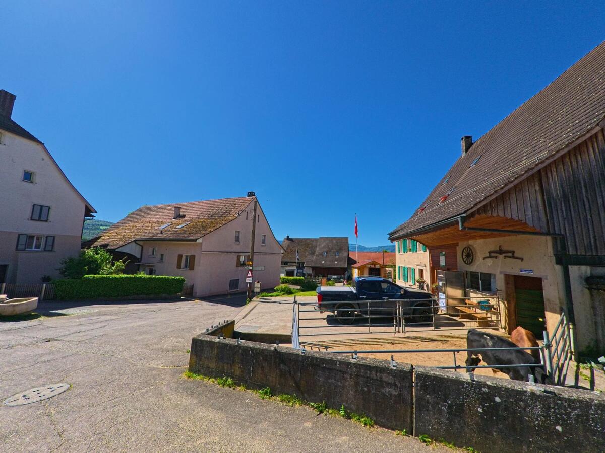 Im Ortskern von Nenzlingen (4224, Kanton Basel-Landschaft) steht ein Bauernhof mit Viehhaltung direkt an der Strasse, flankiert von Wohnhäusern und der Schweizer Fahne im Hintergrund.