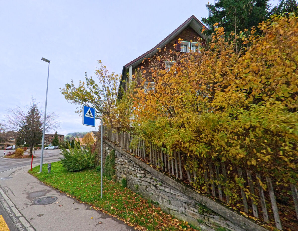Herbstlich gefaerbte Straeucher begleiten einen Gehweg entlang der Strasse in Nesslau (9650, Kanton St. Gallen).