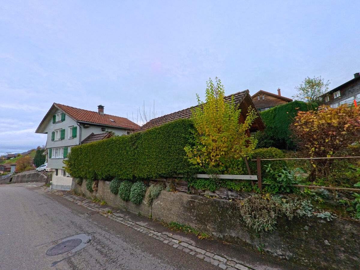 Mehrere Wohnhaeuser mit gepflegten Hecken stehen an einer Nebenstrasse in Nesslau (9650, Kanton St. Gallen).