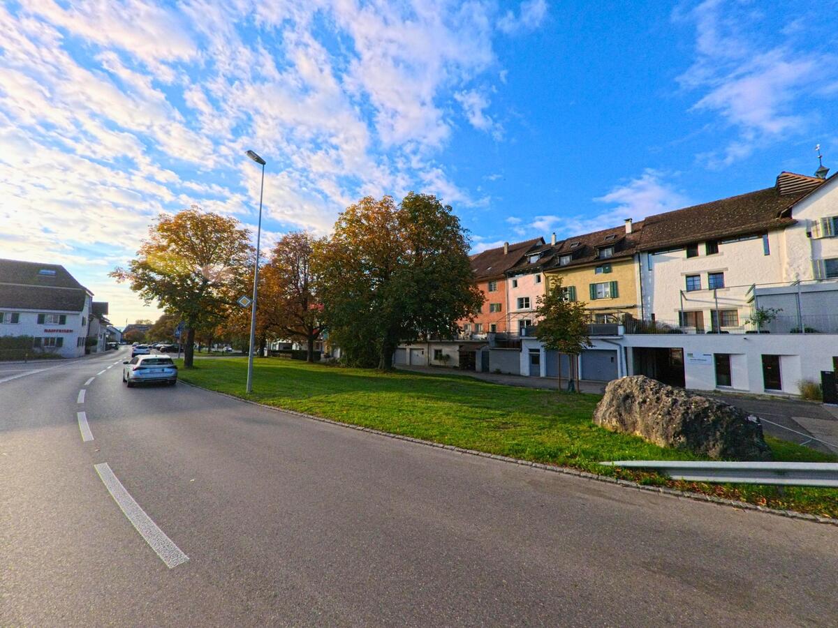 Eine Strasse mit begleitenden Bäumen führt durch ein Wohngebiet von Neunkirch (8213, Kanton Schaffhausen).