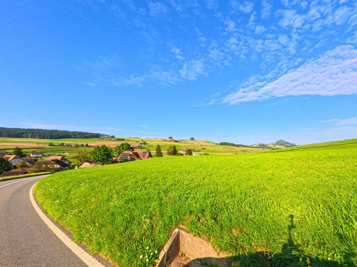 Eine kurvige Landstrasse fuehrt in Niedermuhlern (3087, Kanton Bern) an weitlaeufigen, gruene Feldern vorbei mit Blick auf verstreute Haeuser und sanfte Huegel.