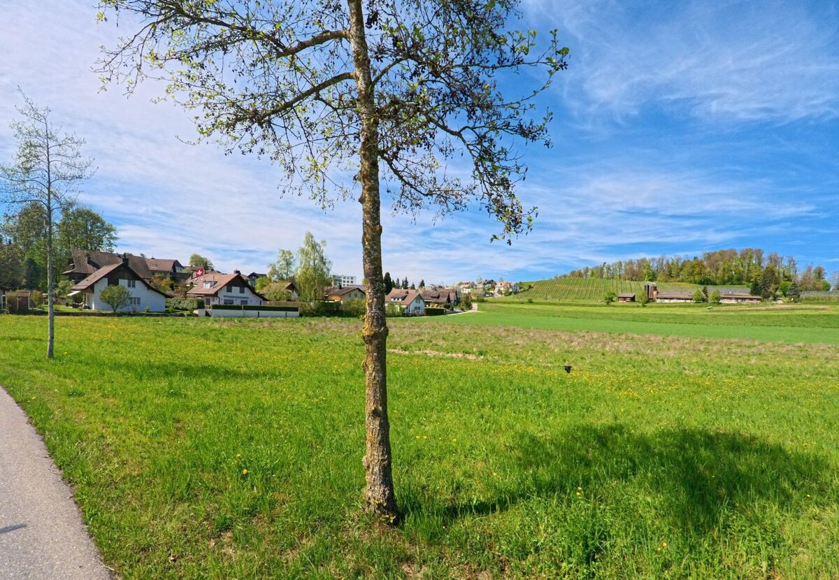 n Nürensdorf, PLZ 8309 im Kanton Zürich, grenzen gepflegte Einfamilienhäuser direkt an grüne Wiesen und einen leicht ansteigenden Rebhang.