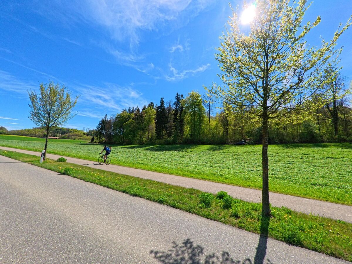 In Nürensdorf, PLZ 8309 im Kanton Zürich, führt ein Radweg durch eine sonnige Landschaft mit Feldern, jungen Bäumen und angrenzendem Wald.