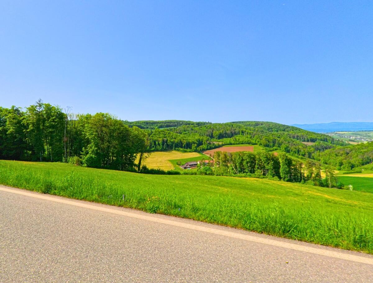 In Nusshof (4453, Kanton Baselland) führt eine Strasse durch eine hügelige Landschaft mit grünen Wiesen und Wäldern, während im Hintergrund einige Häuser und Felder sichtbar sind.