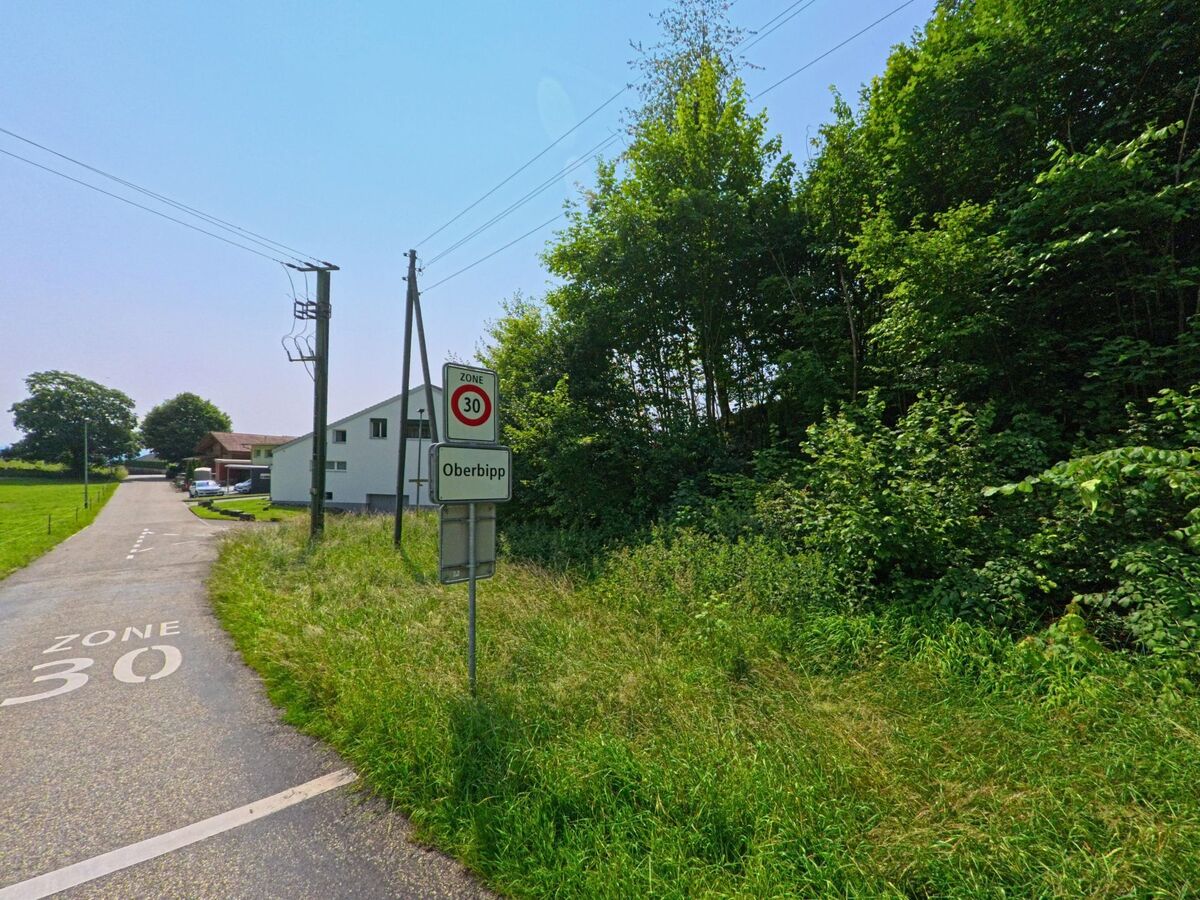 Ein schmaler Weg mit Tempo-30-Markierung führt am Ortsschild von Oberbipp (4538, Kanton Bern) entlang einer Wiese und an dichtem Waldrand vorbei.