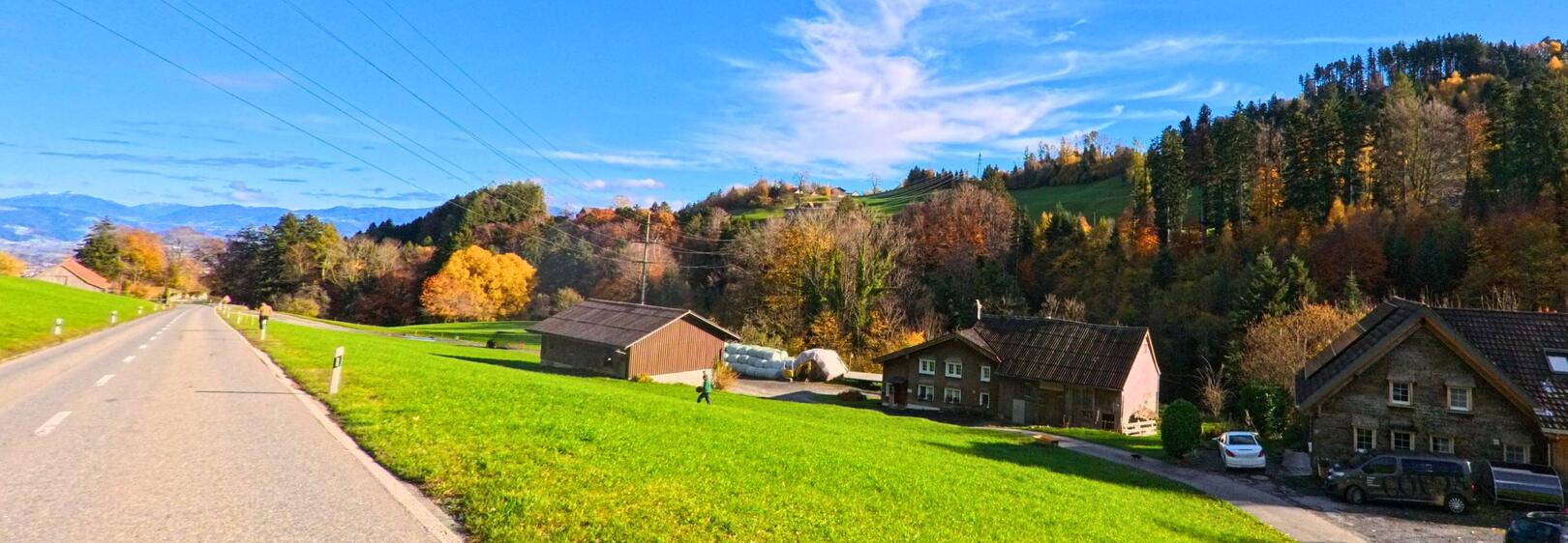 Die malerische Landschaft bei Oberegg (9413, Kanton Appenzell Innerrhoden) zeigt eine ruhige Strasse, gesäumt von bunten Bäumen und einem Bauernhof im Herbst.