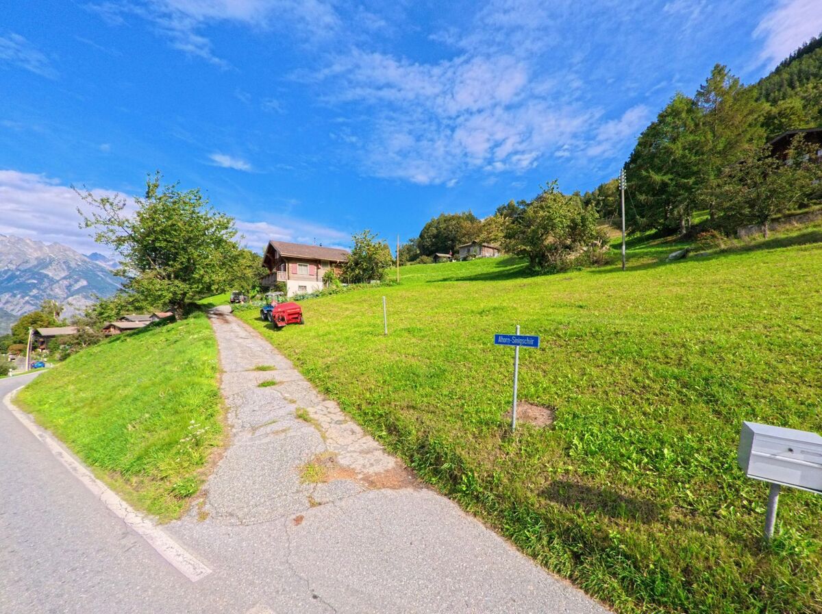 Auf einer grünen Wiese in Oberems (3948, Kanton Wallis) führt ein schmaler Weg bergauf zu einem Holzhaus mit Blick auf die Berge.