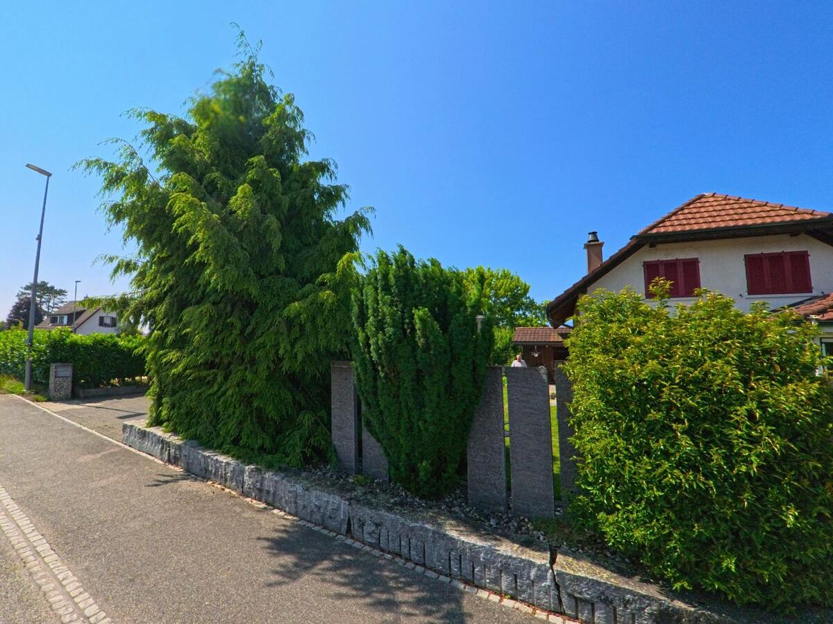 Hinter hohen immergruenen Straeuchern und einer Steinmauer steht ein Wohnhaus mit roten Fensterlaeden in Obergerlafingen (4564, Kanton Solothurn).