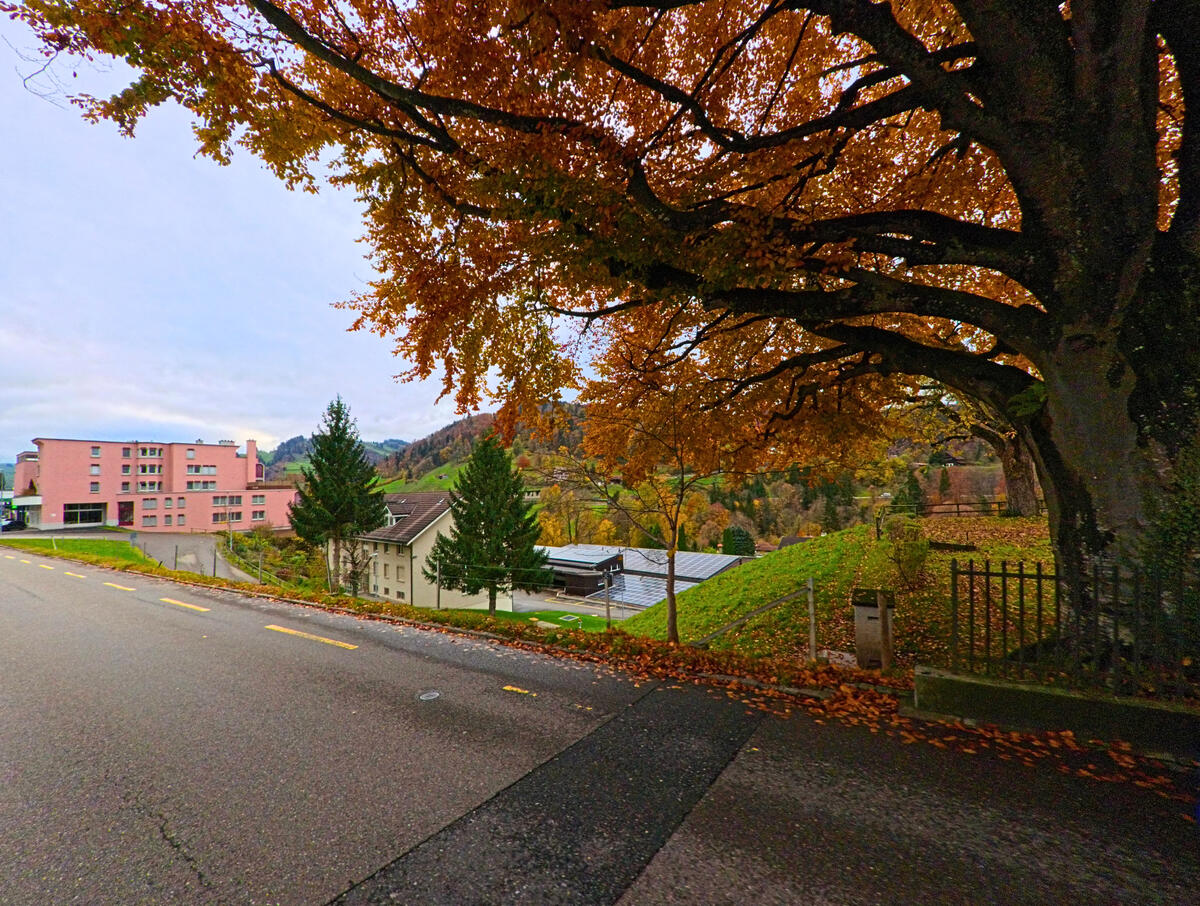 Eine ruhige Strasse verlaeuft unter herbstlich gefaerbten Baeumen durch Oberhelfenschwil (9125, Kanton St. Gallen).