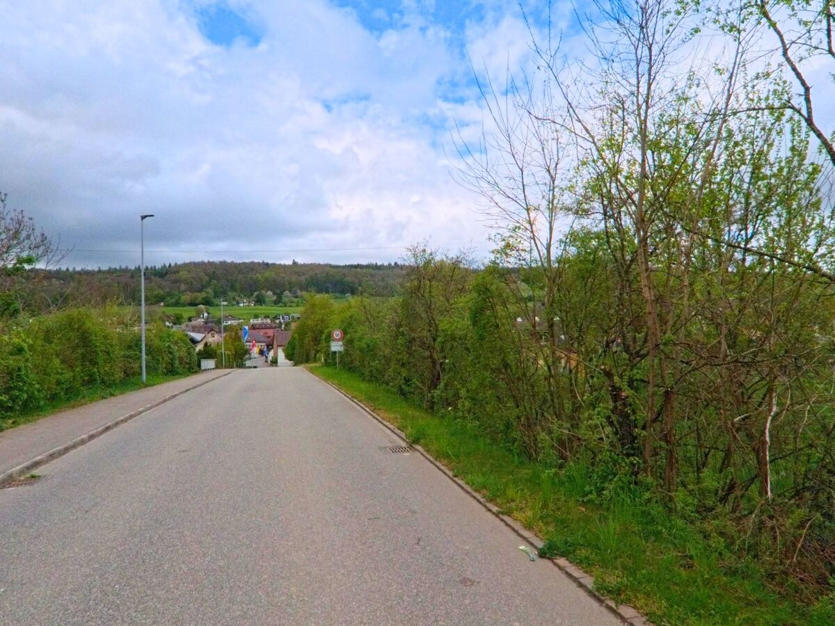 In Oberweningen, PLZ 8165 im Kanton Zürich, führt eine leicht abschüssige Strasse mit Blick auf das Dorfzentrum durch eine von Bäumen gesäumte Landschaft.
