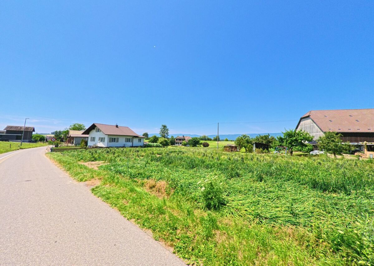 In Oberwil bei Büren (3298, Kanton Bern) verläuft eine Straße entlang grüner Wiesen und Felder, gesäumt von traditionellen Wohnhäusern und einem landwirtschaftlichen Gebäude im Hintergrund.