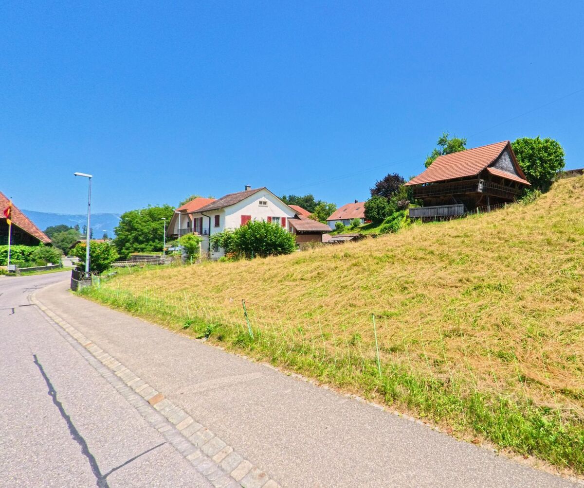 In Oberwil bei Büren (3298, Kanton Bern) führt eine Straße entlang einer Wiese, die sanft bergauf zum Wohngebiet führt, das von traditionellen Häusern gesäumt wird.
