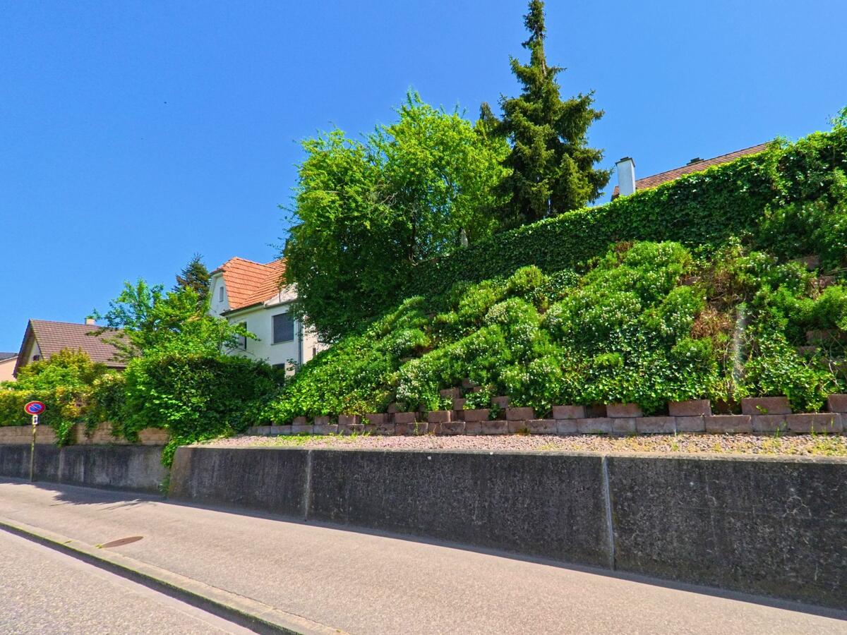 In Oberwil (4104 im Kanton Basel-Landschaft) säumen begrünte Hänge mit dichtem Bewuchs eine leicht ansteigende Quartierstrasse mit Einfamilienhäusern.