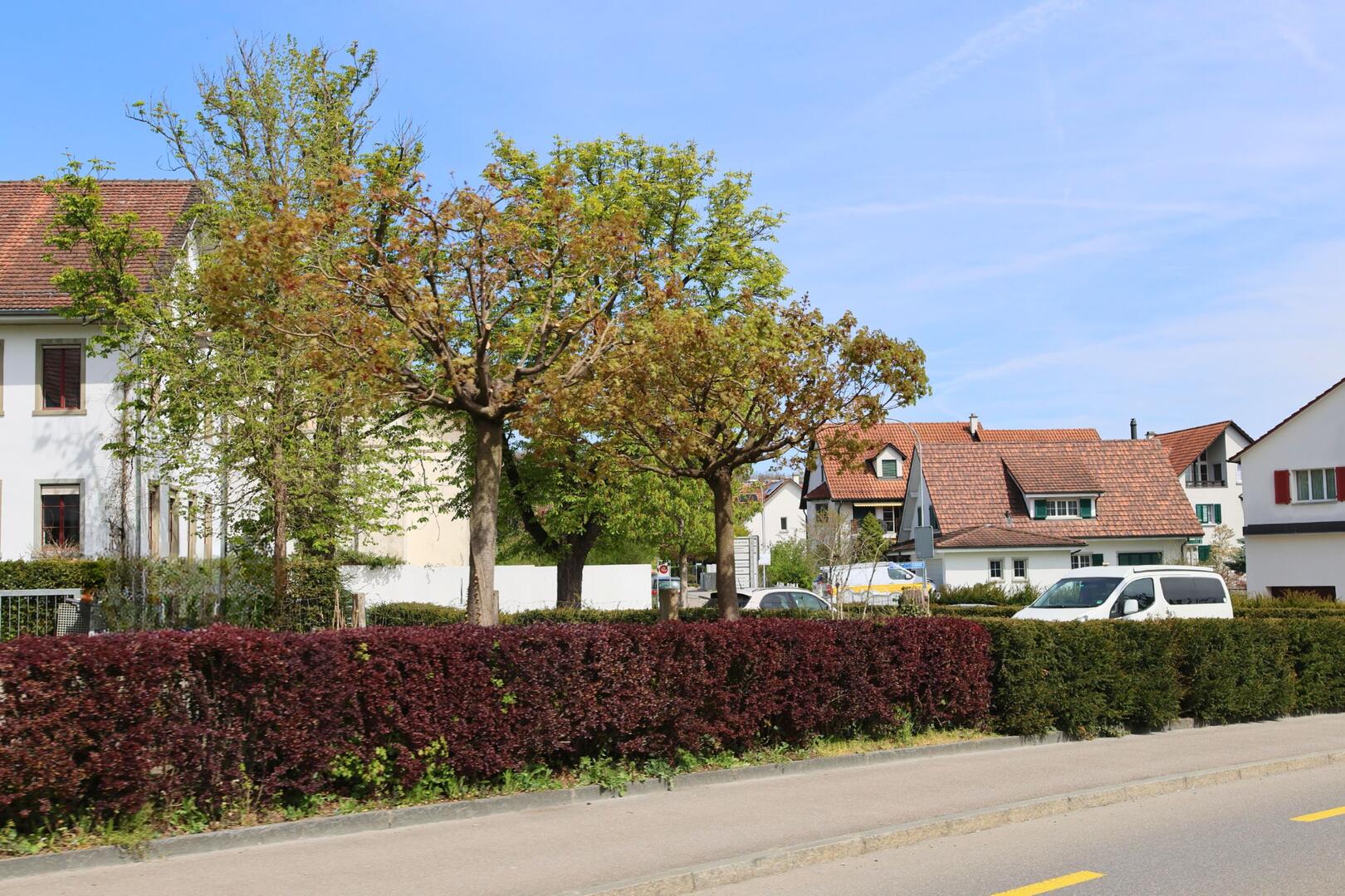 Entlang der Hauptstrasse in Obfelden (8912, Kanton Zürich) stehen gepflegte Wohnhäuser mit roten Ziegeldächern und frisch geschnittenen Hecken.