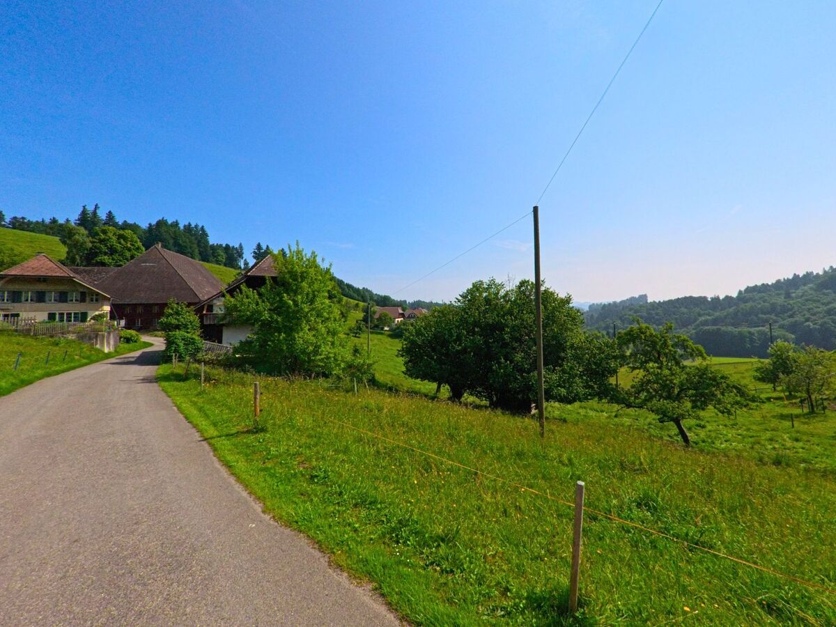 In Ochlenberg (3376, Kanton Bern) führt eine schmale Strasse an traditionellen Bauernhäusern vorbei durch eine grüne Hügellandschaft mit verstreuten Obstbäumen.