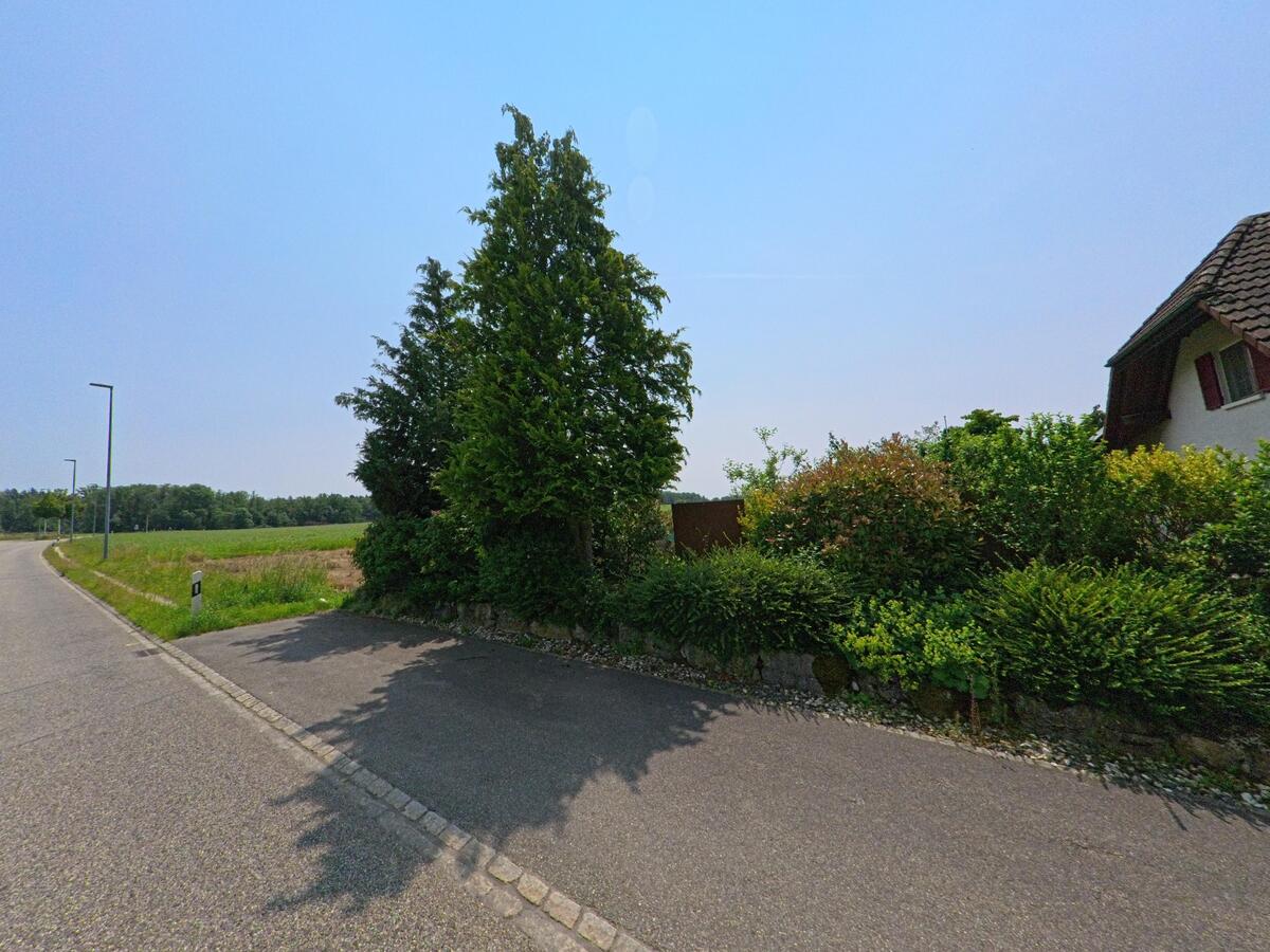 Am Rand von Oekingen (4566, Kanton Solothurn) führt eine ruhige Strasse an einem Wohnhaus mit dichter Gartenbepflanzung und offenen Feldern vorbei.