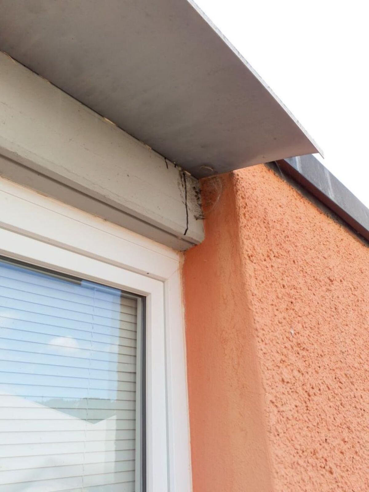 An einem Wohnhaus in Opfikon (8302, Kanton Zürich) befindet sich unter dem Dachvorsprung oberhalb eines Fensters ein Spinnennetz mit sichtbaren Schmutzspuren.