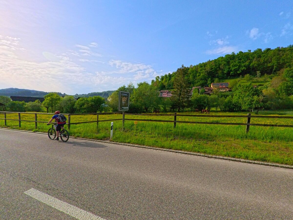 Entlang einer Landstrasse in Ormalingen (PLZ 4466, Kanton Baselland) fährt ein Radfahrer an einer eingezäunten Weide mit Pferden vorbei, dahinter liegen Häuser am Waldrand.