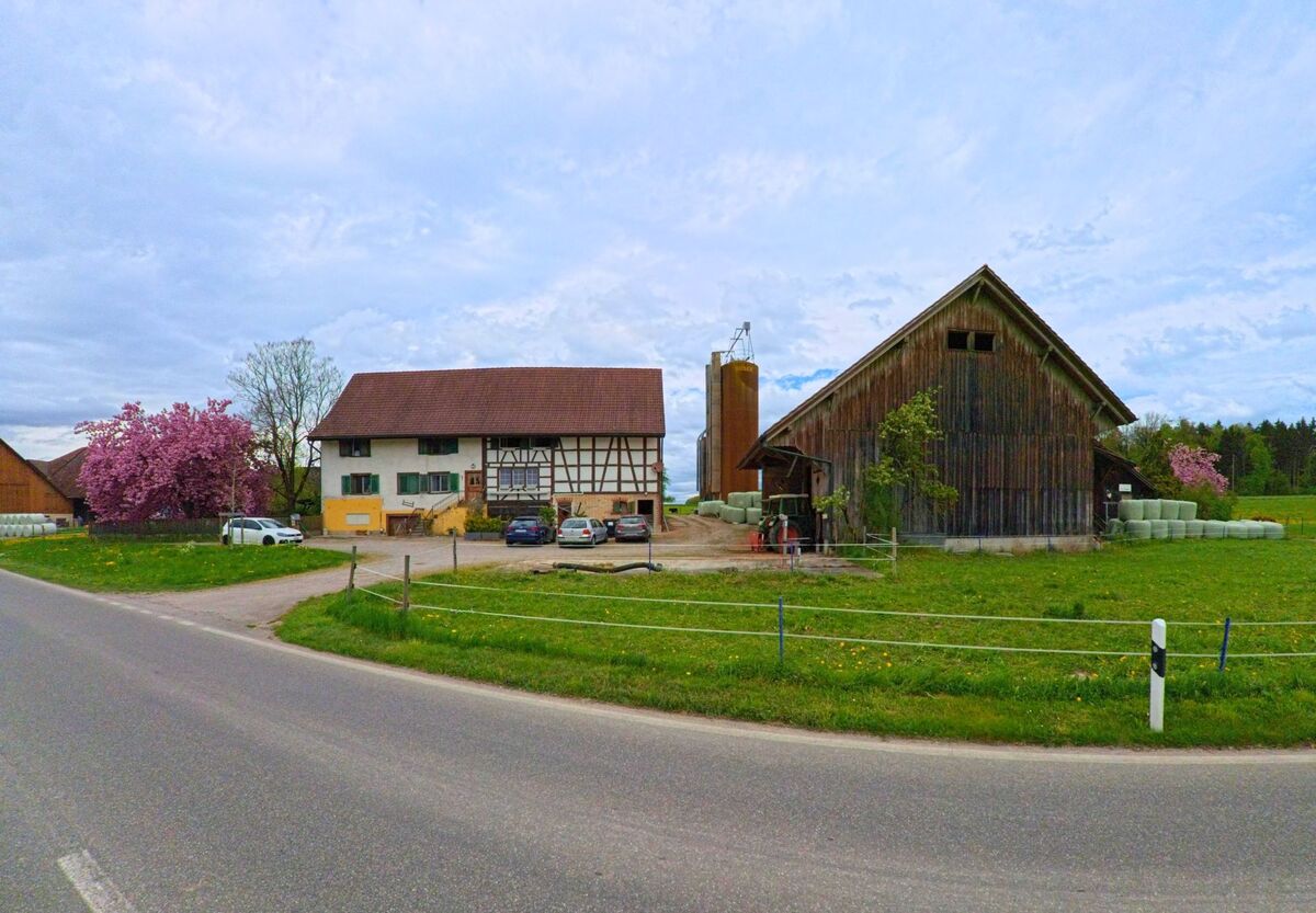 Am Ortsrand von Ossingen, PLZ 8475 im Kanton Zürich, befindet sich ein landwirtschaftlicher Betrieb mit Wohnhaus, Scheune, Silos und blühenden Bäumen.