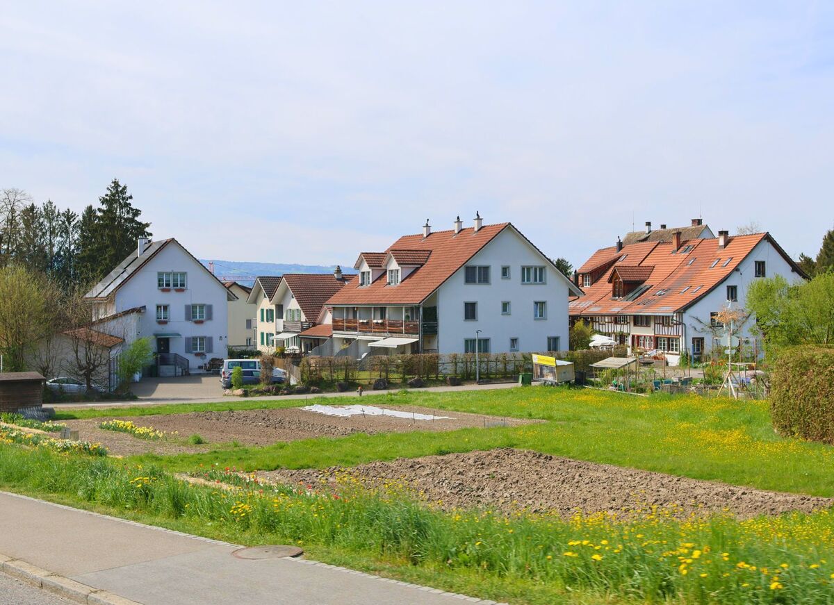 In Ottenbach im Kanton Zürich mit der PLZ 8913 stehen gepflegte Wohnhäuser mit roten Dächern am Rand eines bepflanzten Feldstreifens mit Frühlingsblumen und Gemüsebeeten.