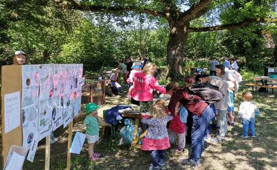 In Widnau (9443, Kanton St. Gallen) entdecken Kinder und Erwachsene bei einer Naturveranstaltung des OV Widnau verschiedene Informationsstände und Tiergehege im Grünen.