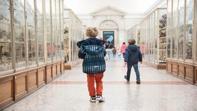In den Galeries de Zoologie im Palais de Rumine in Lausanne (1007, Kanton Waadt) betrachten Kinder ausgestopfte Tiere in historischen Vitrinen des Museums.