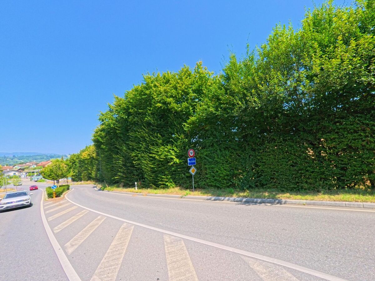 Eine Strasse mit Verkehrsschildern und einer hohen gruener Hecke markiert den Ortseingang von Penthalaz (1305, Kanton Waadt).
