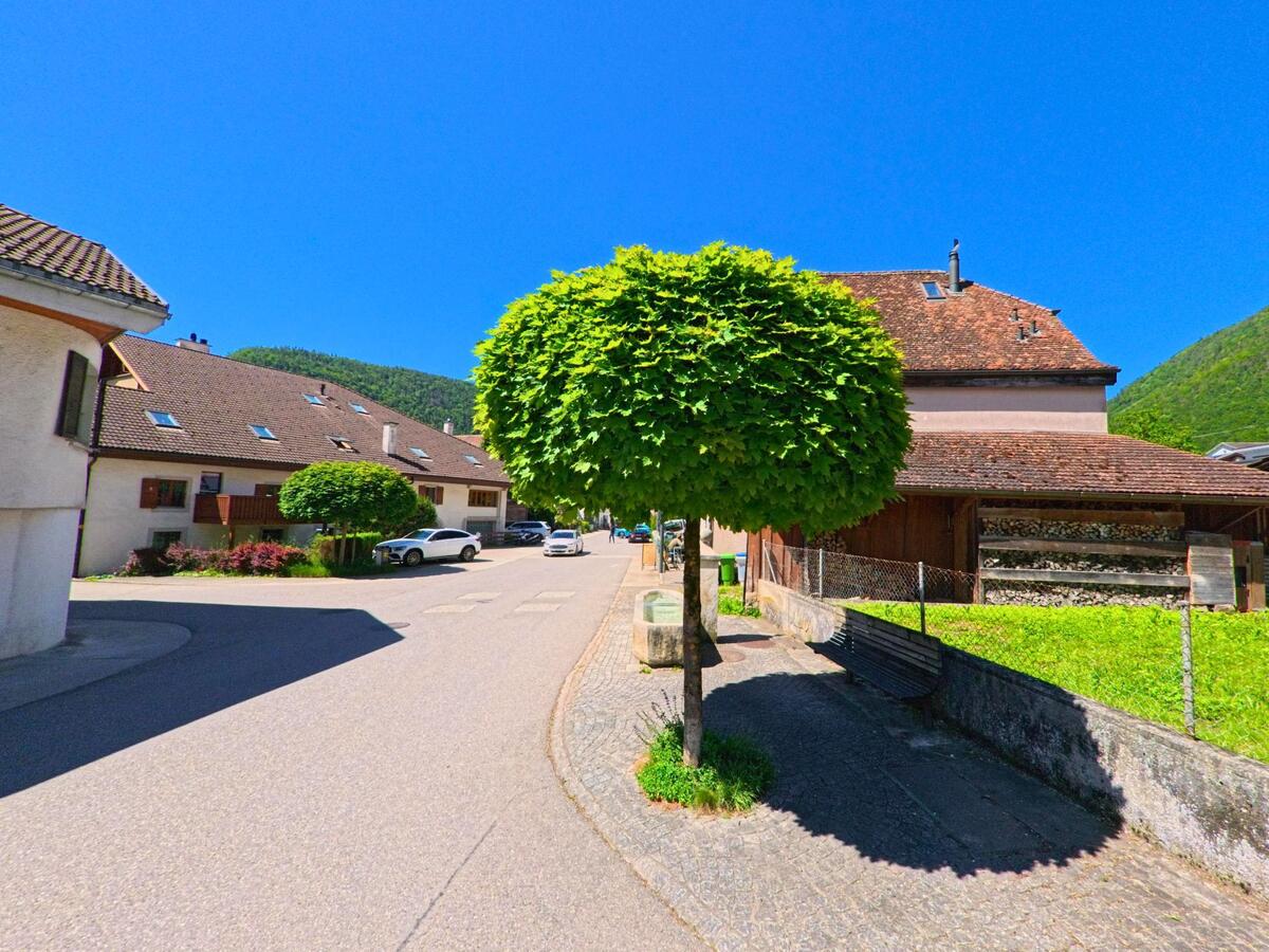 In Péry-La Heutte (2603, Kanton Bern) säumt ein rund geschnittener Baum eine Dorfstraße mit Wohnhäusern und einem Holzlager vor grünem Hügelpanorama.