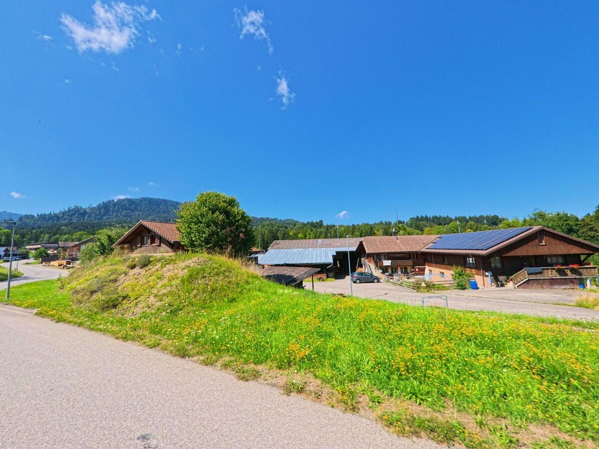 Mehrere Bauernhaeuser mit Solarpanels liegen in Plasselb (1737, Kanton Freiburg) am Rand einer Strasse, umgeben von Wiesen und bewaldeten Huegeln unter blauem Himmel.