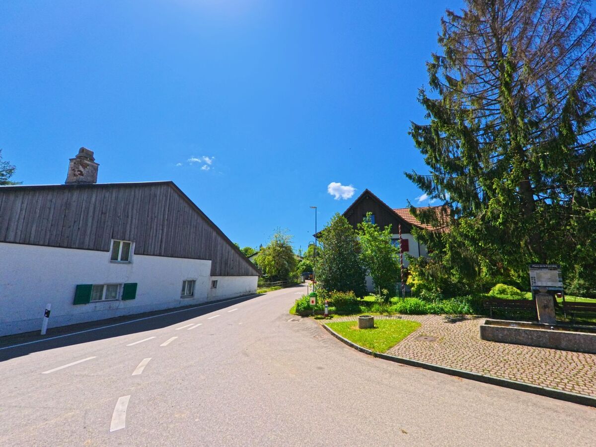 In Pleigne (2807, Kanton Jura) fuehrt eine kurvige Strasse an einem Dorfbrunnen mit Sitzbaenken und einer grossen Fichte vorbei, umgeben von Wohnhaeusern und Gaerten.