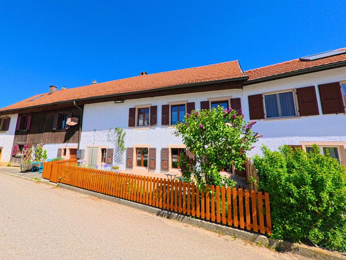 In Pleigne (2807, Kanton Jura) bildet eine zusammenhaengende Reihe von Wohnhaeusern mit bunten Fensterlaeden und kleinen Gaerten ein geschlossenes Strassenbild.
