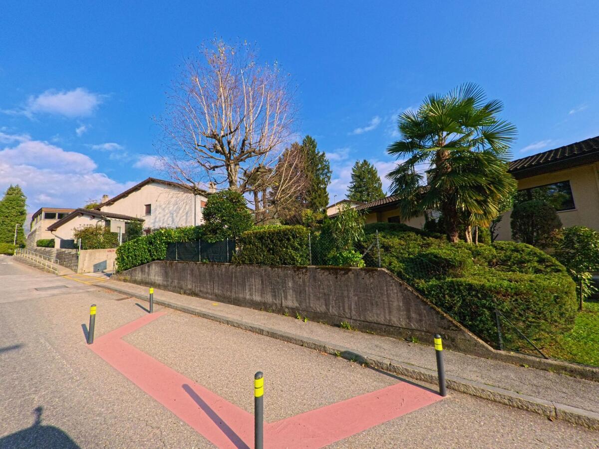An einer ruhigen Strasse in Ponte Capriasca (6946, Kanton Tessin) stehen Einfamilienhäuser hinter einer Stützmauer mit Hecke, daneben ragt eine Palme in den blauen Himmel.