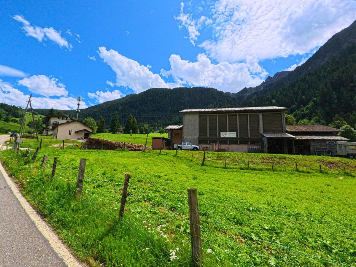 Ein Bauernhof mit grossen Scheunengebäuden liegt in Prato (Leventina) (6773, Kanton Tessin) zwischen Wiesen und bewaldeten Bergen unter blauem Himmel.