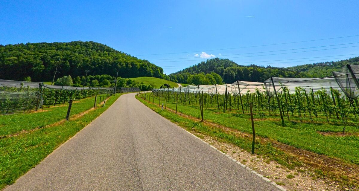 Ein schmaler Weg führt in Ramlinsburg (4433, Kanton Baselland) zwischen bewirtschafteten Feldern und Obstplantagen durch eine offene Hügellandschaft.