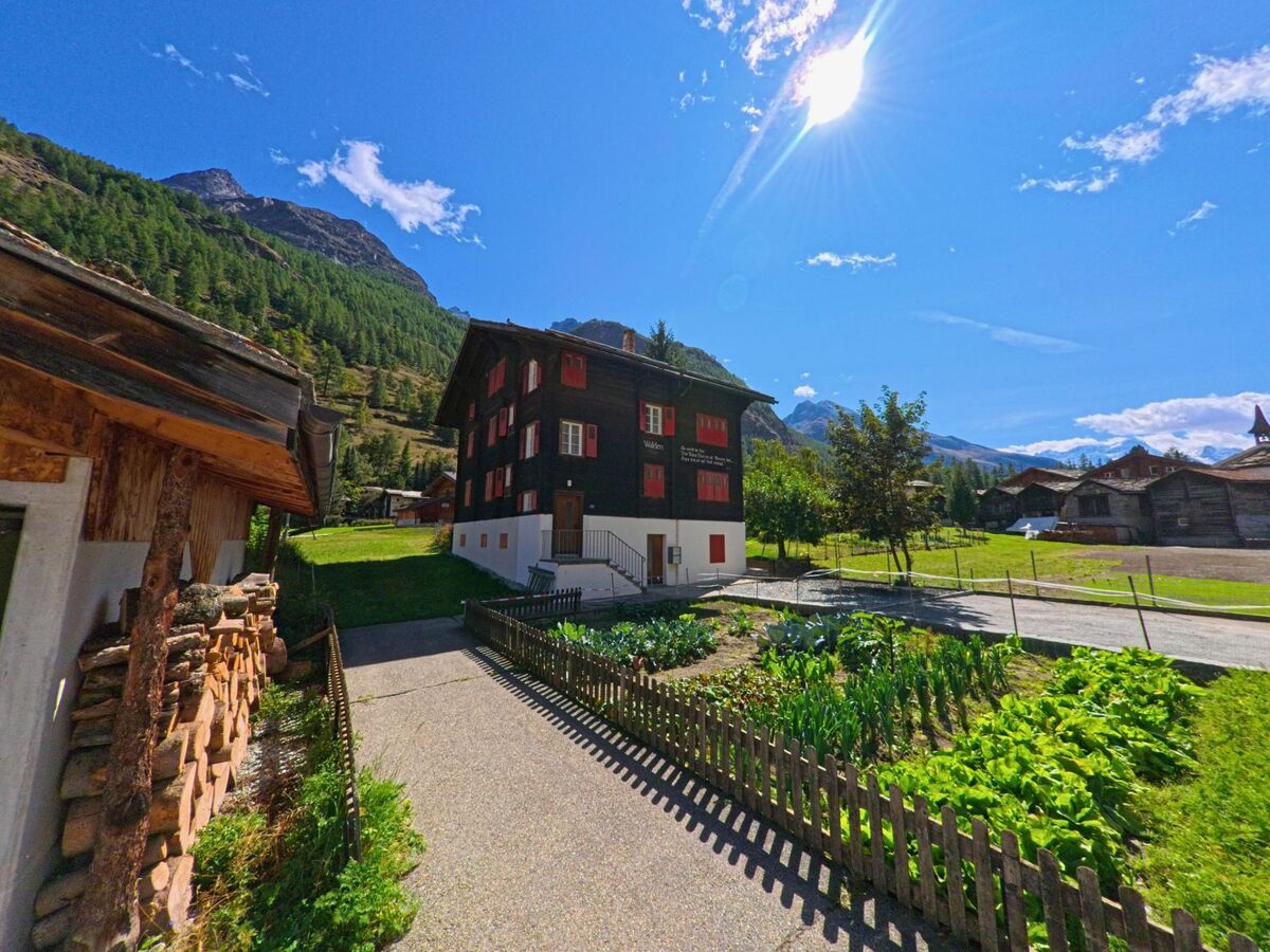 Vor einem traditionellen Holzhaus in Randa (3928, Kanton Wallis) liegt ein kleiner Gemuesegarten, waehrend dahinter die bewaldeten Berghaenge aufragen.