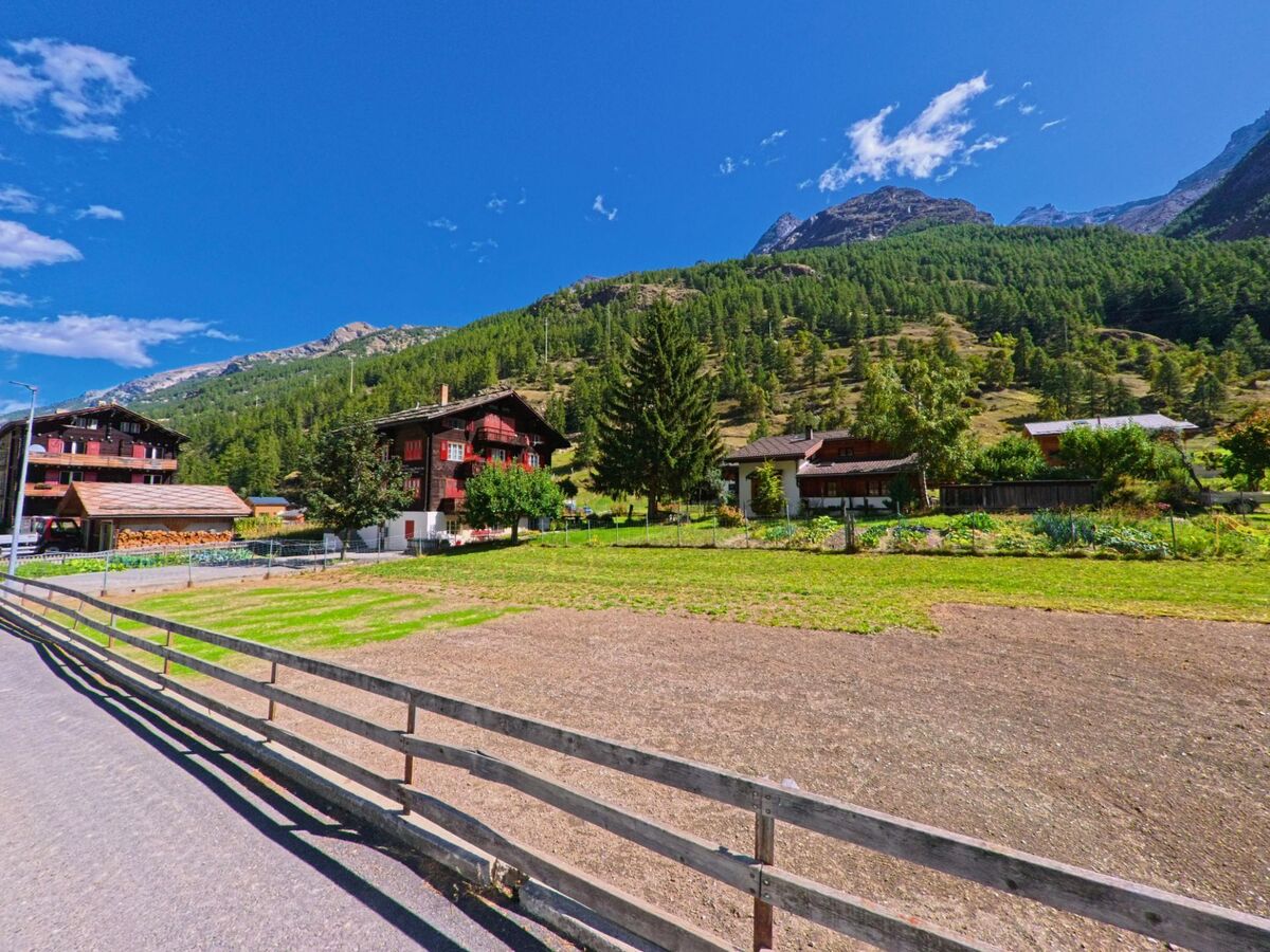 Am Rand von Randa (3928, Kanton Wallis) stehen traditionelle Holzhäuser und Gaerten vor einem dicht bewaldeten Berghang mit felsigen Gipfeln.