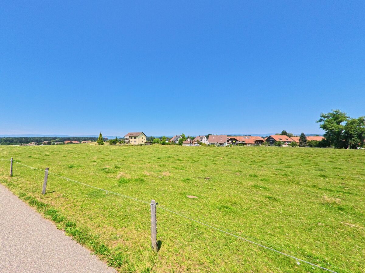 In Rapperswil (3255, Kanton Bern) erstreckt sich ein weites, grünes Feld entlang einer Straße, mit einem klaren Blick auf die Häuser am Horizont.