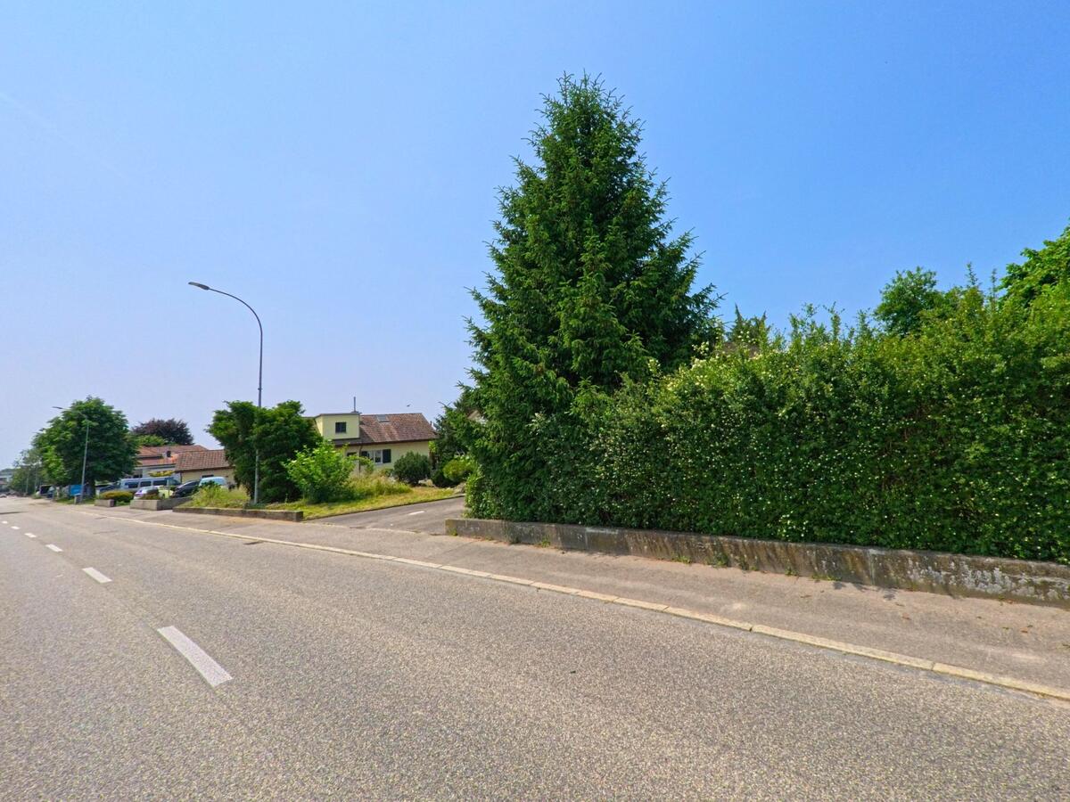 In Recherswil (4565, Kanton Solothurn) verläuft eine ruhige Straße, gesäumt von hohen Bäumen und gepflegten Hecken, die die Häuser im Hintergrund umrahmen.