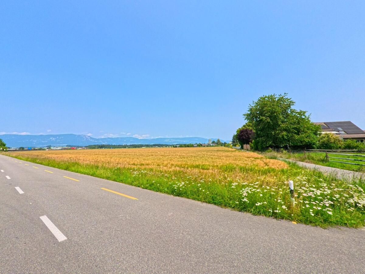 Eine weite Straße führt entlang eines goldenen Feldes in Recherswil (4565, Kanton Solothurn), mit Blick auf die Alpen im Hintergrund und einem Bauernhaus am Straßenrand.