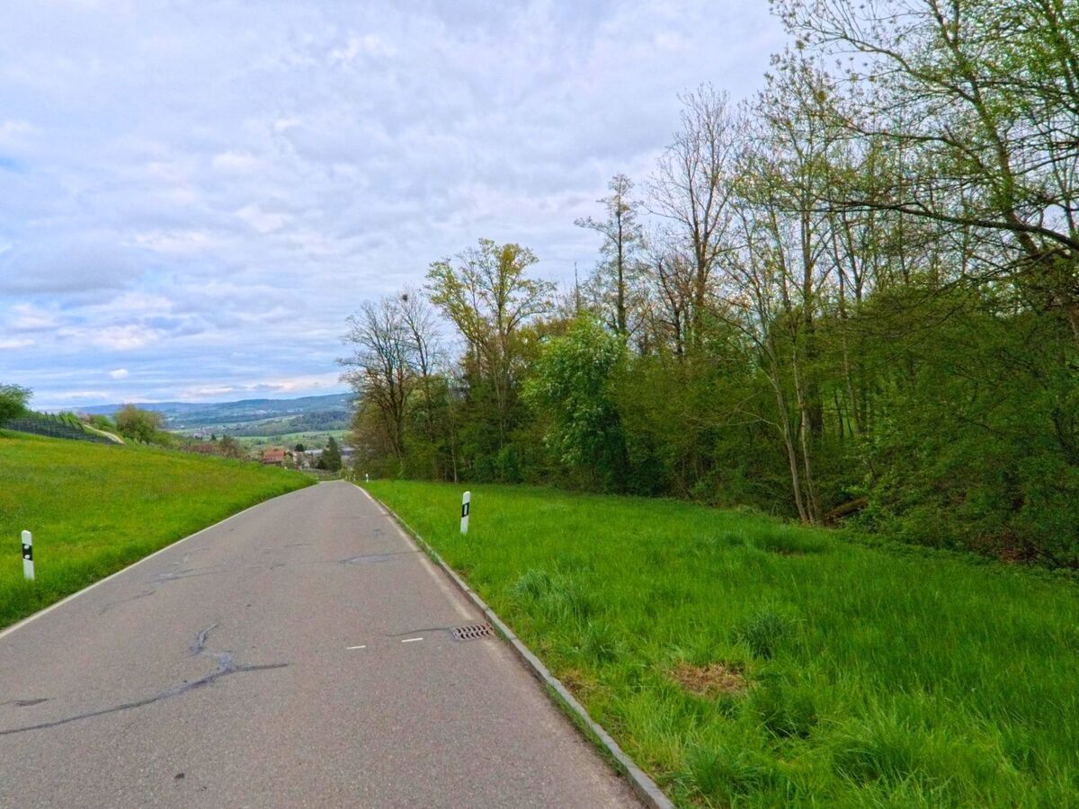 Eine schmale Fahrstrasse in Regensberg, PLZ 8158 im Kanton Zürich, verläuft zwischen Wiesen und Waldrand bergab mit Ausblick auf das grüne Umland und entfernte Hügelzüge.