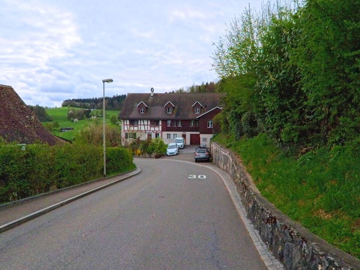 Eine schmale Strasse mit Tempo-30-Markierung führt in Regensberg, PLZ 8158 im Kanton Zürich, an einem Fachwerkhaus vorbei durch eine grüne Hügellandschaft.
