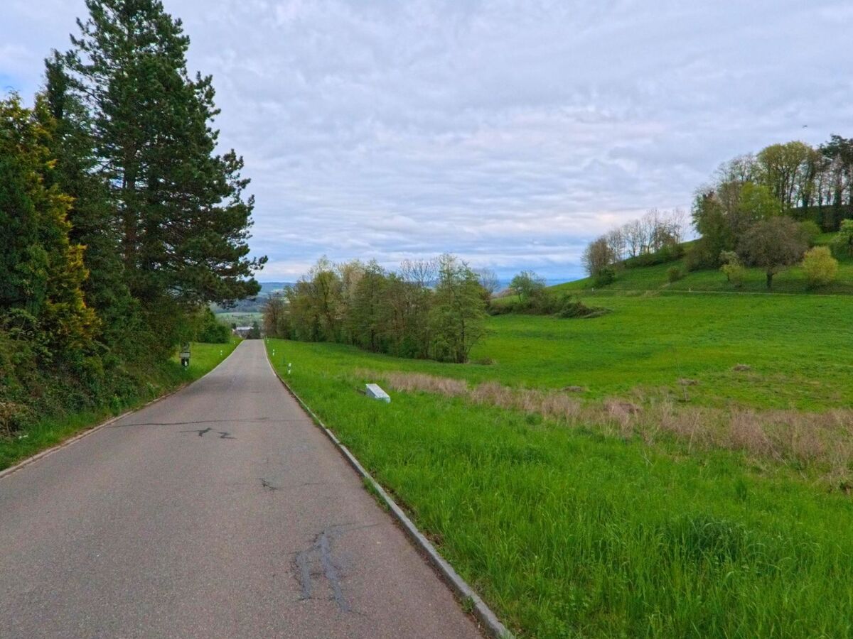 Eine schmale Strasse führt in Regensberg, PLZ 8158 im Kanton Zürich, durch offene Wiesen und Waldstücke mit Blick auf das flachere Umland in der Ferne.