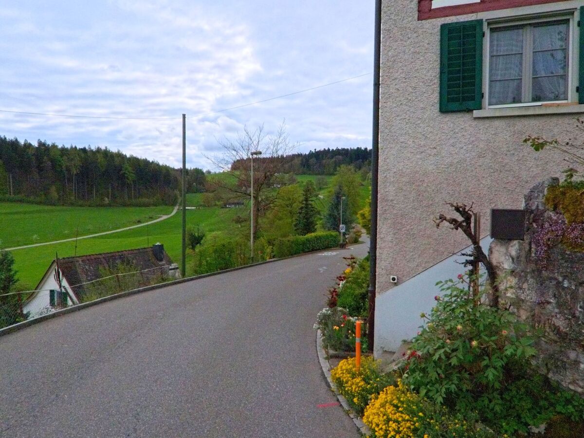 Eine schmale Strasse in Regensberg, PLZ 8158 im Kanton Zürich, schlängelt sich an Gärten und einem Waldsaum vorbei durch die hügelige Landschaft mit einzelnen Häusern im Tal.