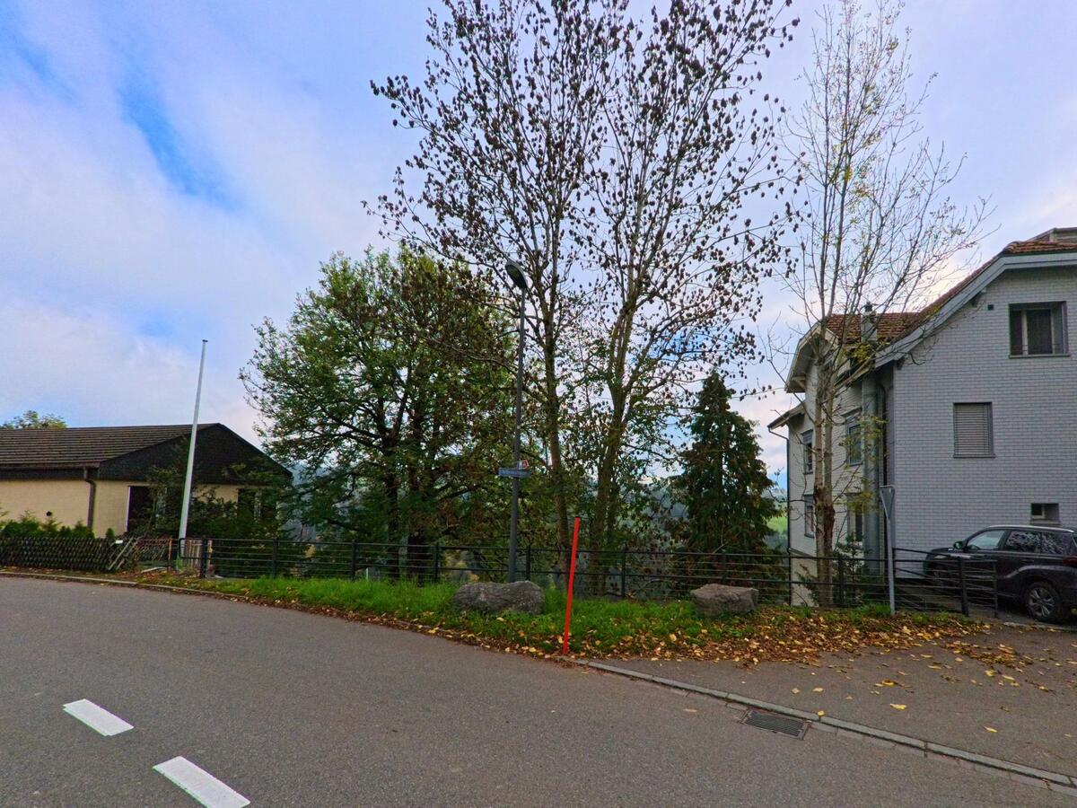 Eine sanfte Strassenkurve führt durch ein von Bäumen gesäumtes Quartier in Rehetobel (9038, Kanton Appenzell Ausserrhoden).