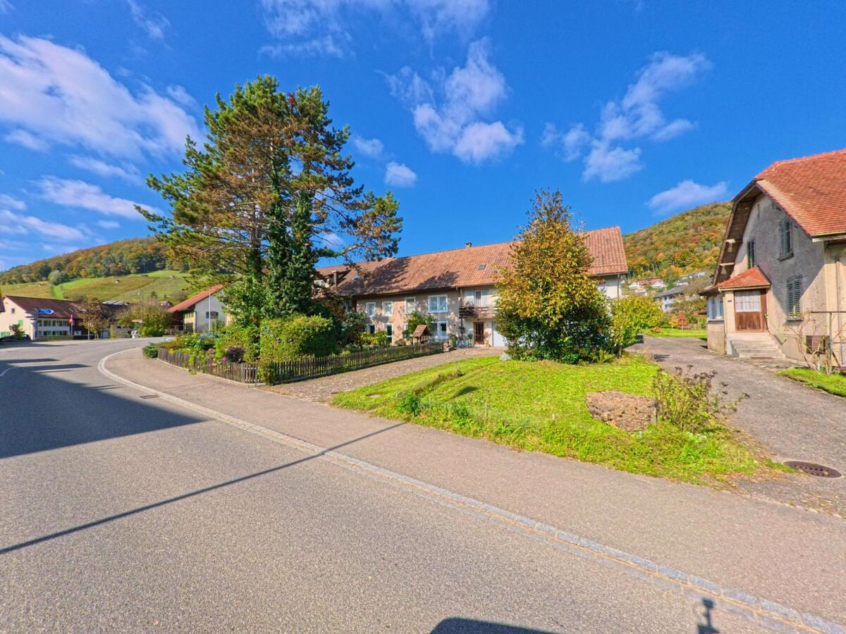 An einer sanft geschwungenen Strasse in Remigen (5236, Kanton Aargau) stehen traditionelle Wohnhäuser mit gepflegten Gärten und Blick auf bewaldete Hügel.