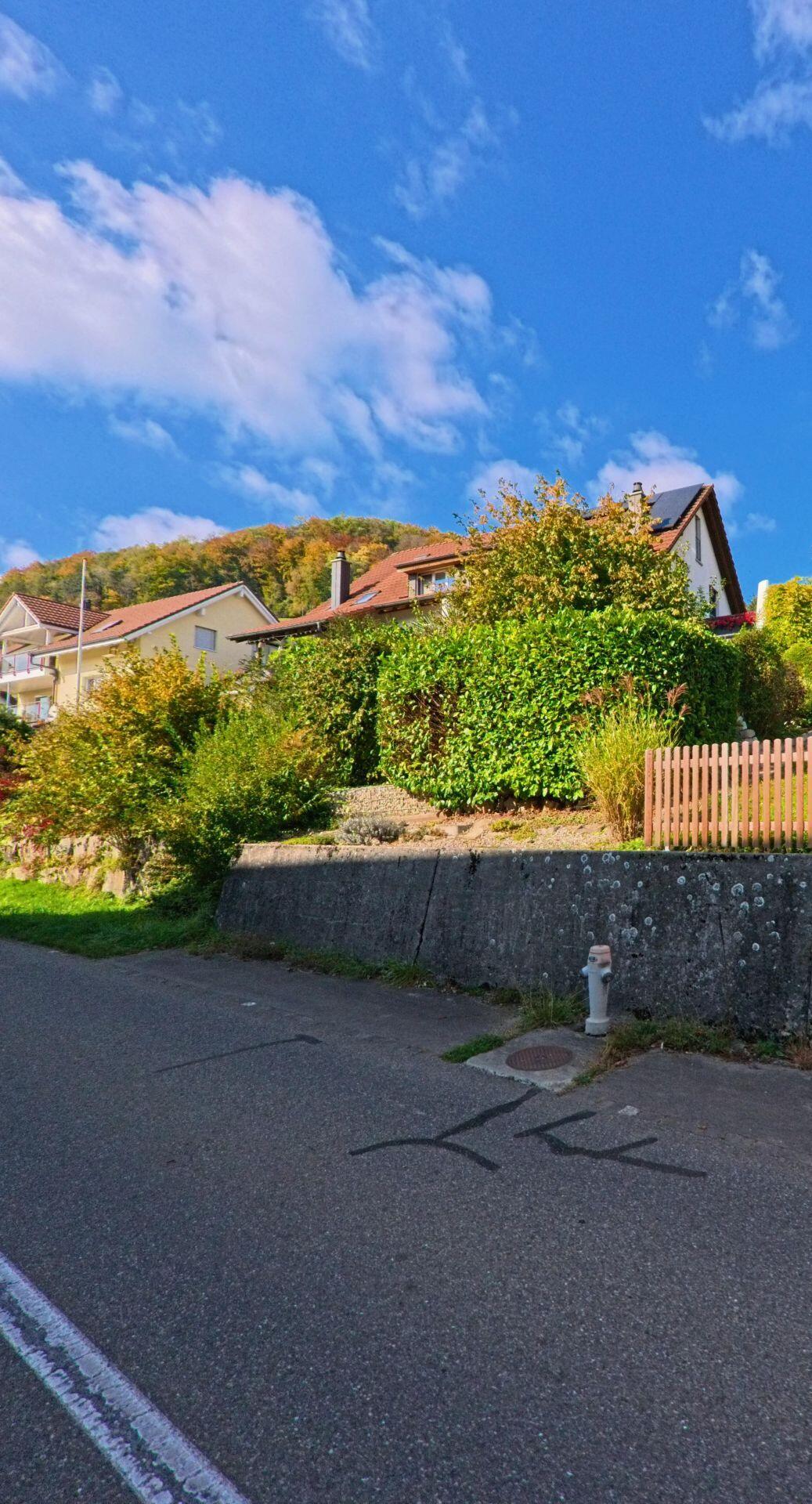 In Remigen (5236, Kanton Aargau) stehen mehrere Einfamilienhäuser mit gepflegten Gärten auf einer leicht ansteigenden Strasse vor bewaldetem Hügel.